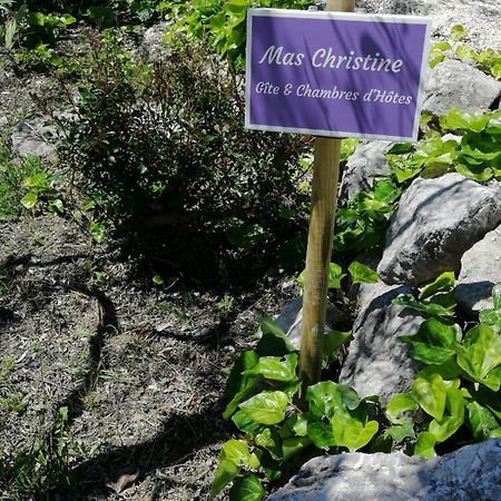 Le Mas Christiane Б'юі-ле-Баронні Екстер'єр фото